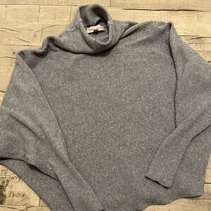 Philosophy PILCRO Medium, grey Cozy Ribbed Turtleneck Pullover